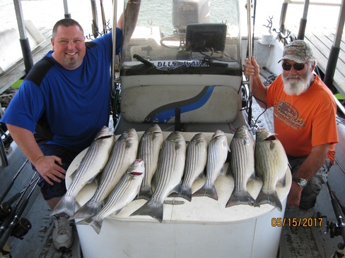 Nice Striped Bass